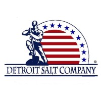 The Detroit Salt Company