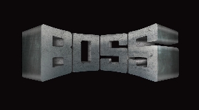 Boss Precision Ltd
