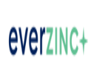 Everzinc