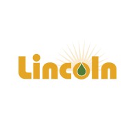 Lincoln Energy Solutions