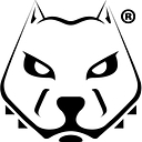 Pitbull Energy Services